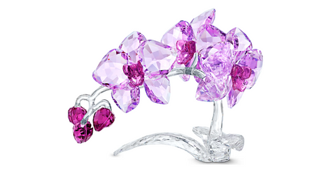 Swarovski - Crystal Flowers Orchid