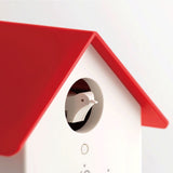Rhythm - Contemp Cuckoo Style Clock Red & White