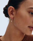 Edblad - Stellar Hoops Gold