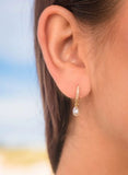 Georgini - Oceans Bondi Freshwater Pearl Earrings Gold