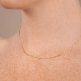 Brent Weatherall - 9ct Yellow Gold Forzatina Plate & Chain Necklace 40-50cm