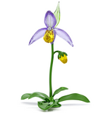 Swarovski - Florere Lady Slipper Orchid