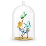 Swarovski - Jungle Beats Butterfly Bell Jar