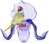 Swarovski - Idyllia Gouldian Finch and Orchid