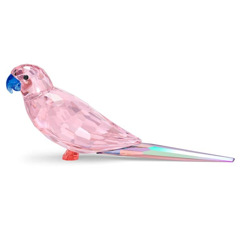 Swarovski - Pink Parakeet