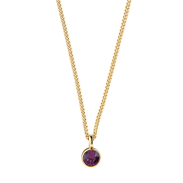 Dyrberg/Kern Jemma SG Purple Necklace