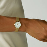 Rosefield - Small Edit Mesh Gold Watch