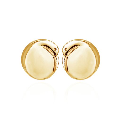 Boh Runga - Gold Plated Kiwi Studs